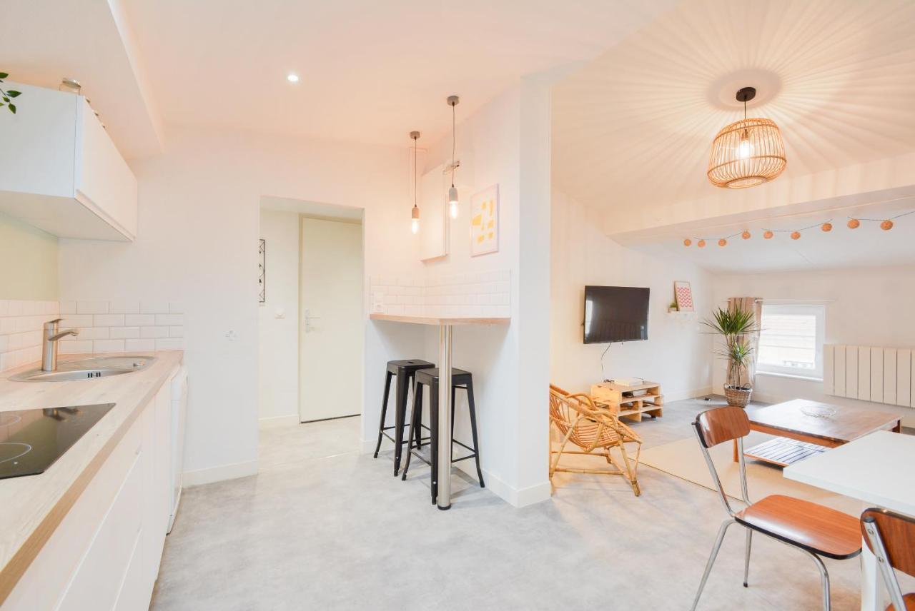 Le Toit De Poincare Apartment Нанси Екстериор снимка